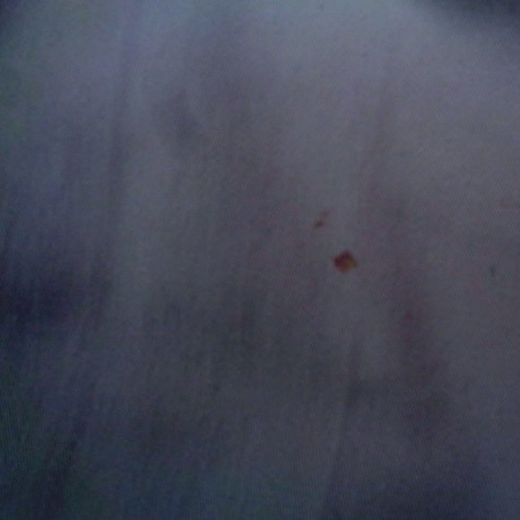 Dockers Women - Cream Colored Chinos - Picture 8 of 8